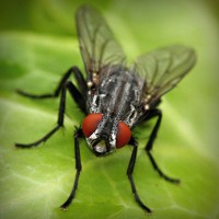 /album/webnode-fr/photolia-a01-jpg/