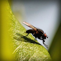 /album/webnode-fr/photolia-a04-jpg/