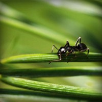 /album/webnode-fr/photolia-a05-jpg/