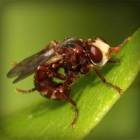 /album/webnode-fr/photolia-a06-jpg/