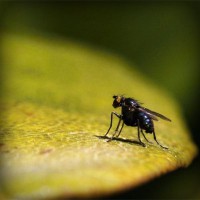 /album/webnode-fr/photolia-a07-jpg/