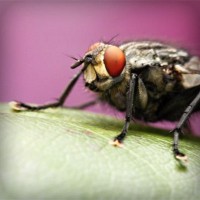 /album/webnode-fr/photolia-a08-jpg/